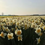 Duinvogel * Noordwijk
